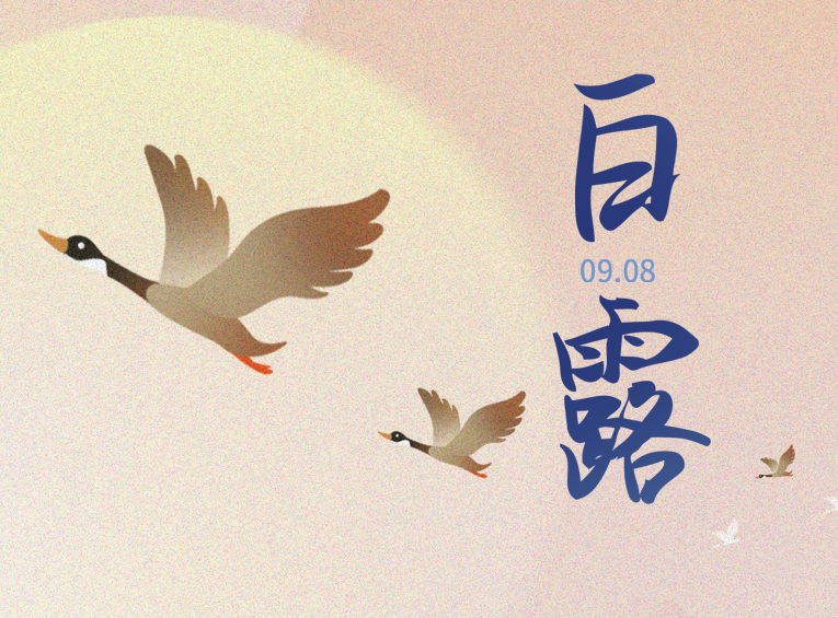 白露 | 蒹葭苍苍 白露为霜
